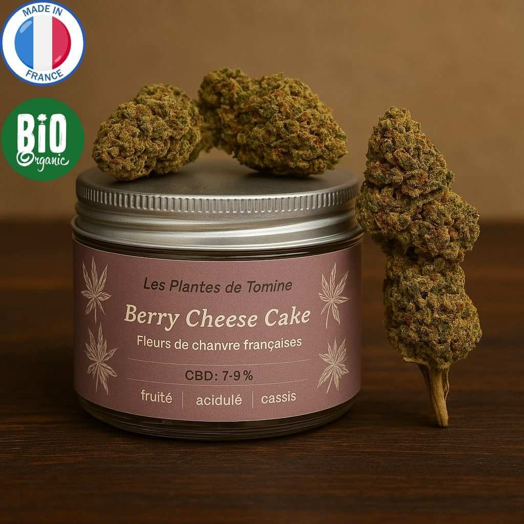 Fleur Berry Cheese Cake CBD Bio Outdoor