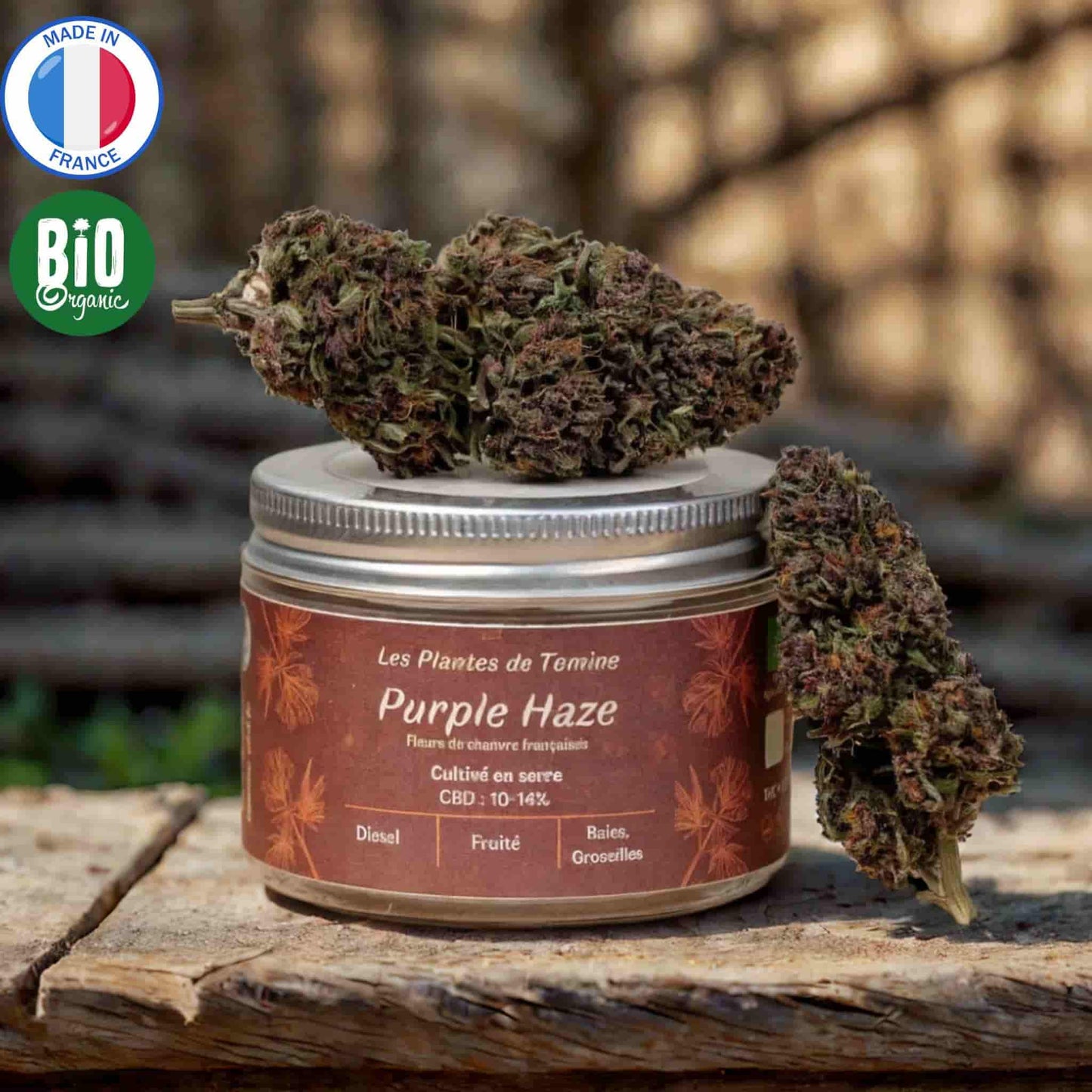 Fleurs CBD Bio Purple Haze, 10-14 % CBD, arômes sucrés et épicés, France.