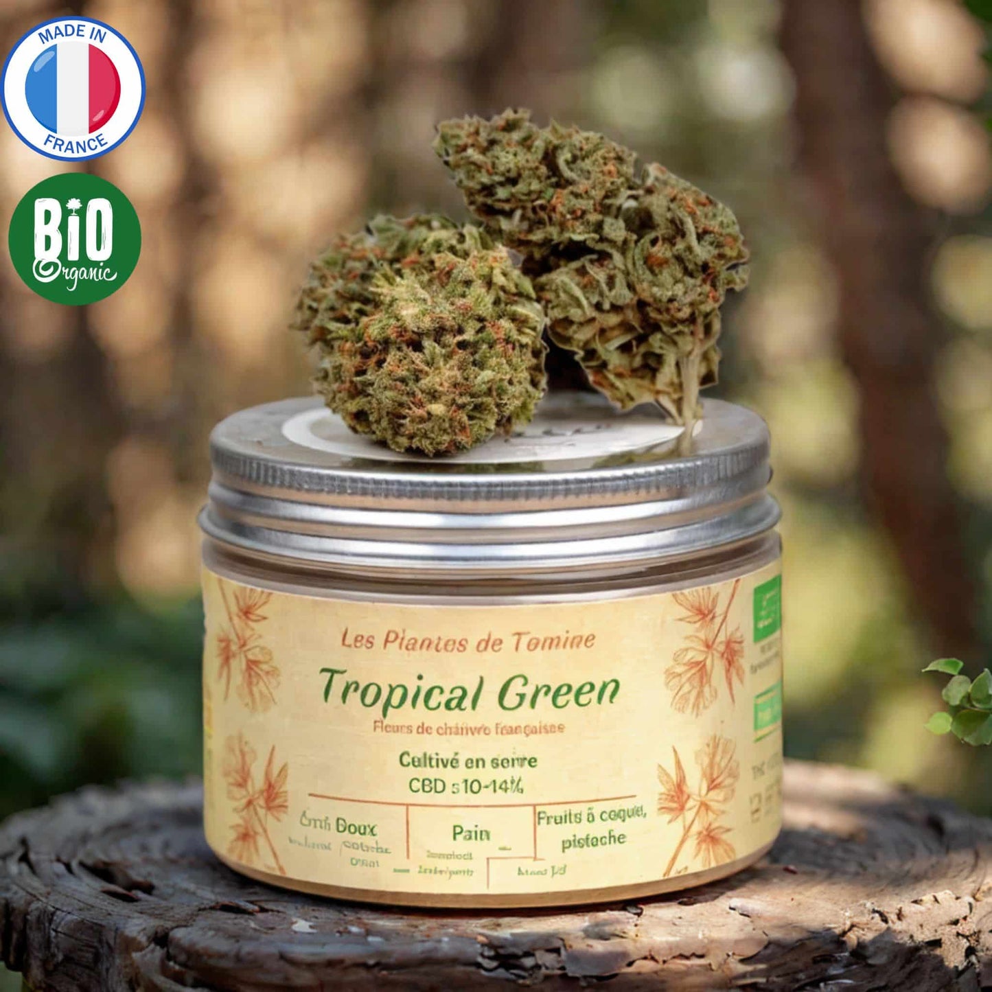 Fleurs CBD Bio Tropical Green, 10-14 % CBD, arômes doux et noisettés, France.