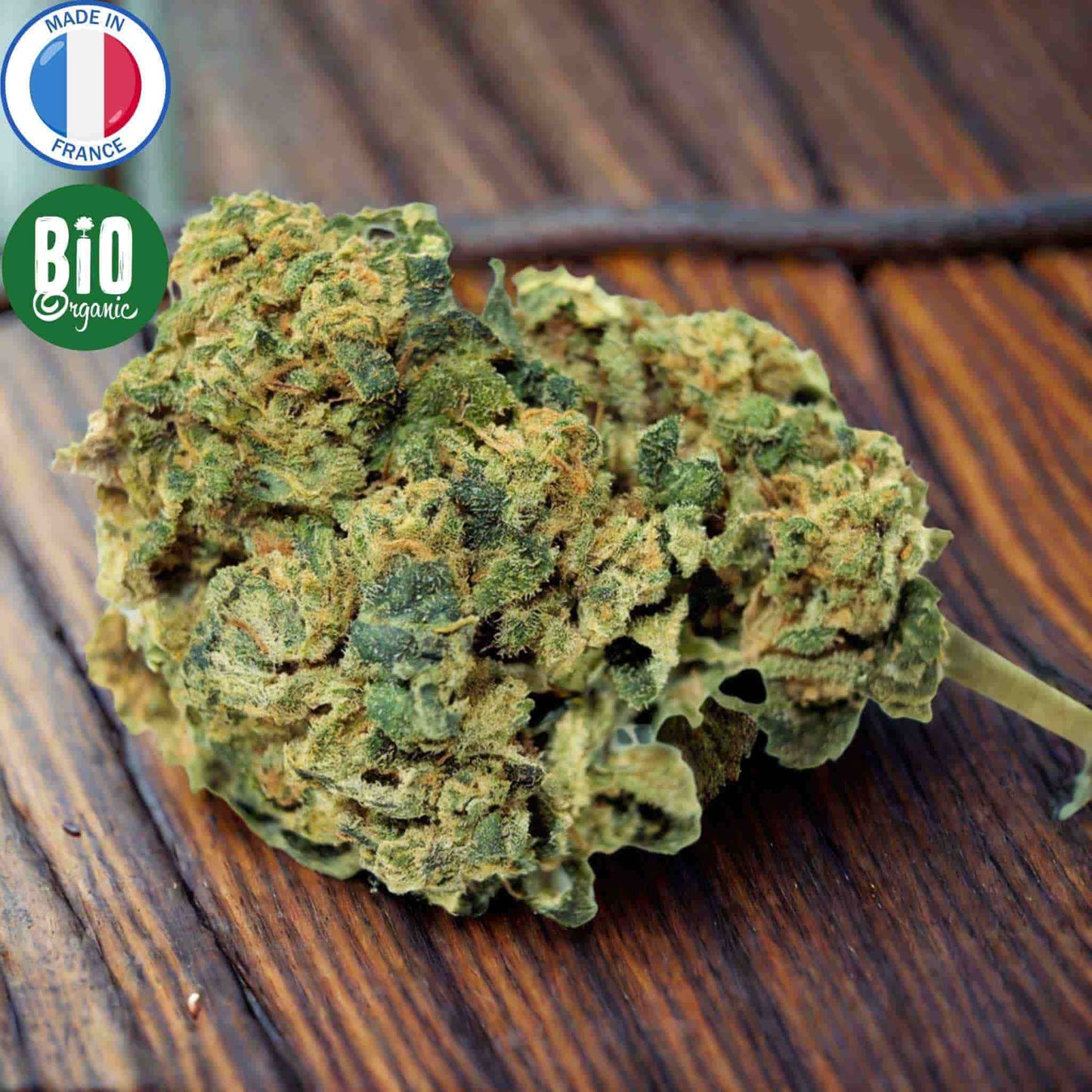 fleur cbd bio gorilla blue produite en France