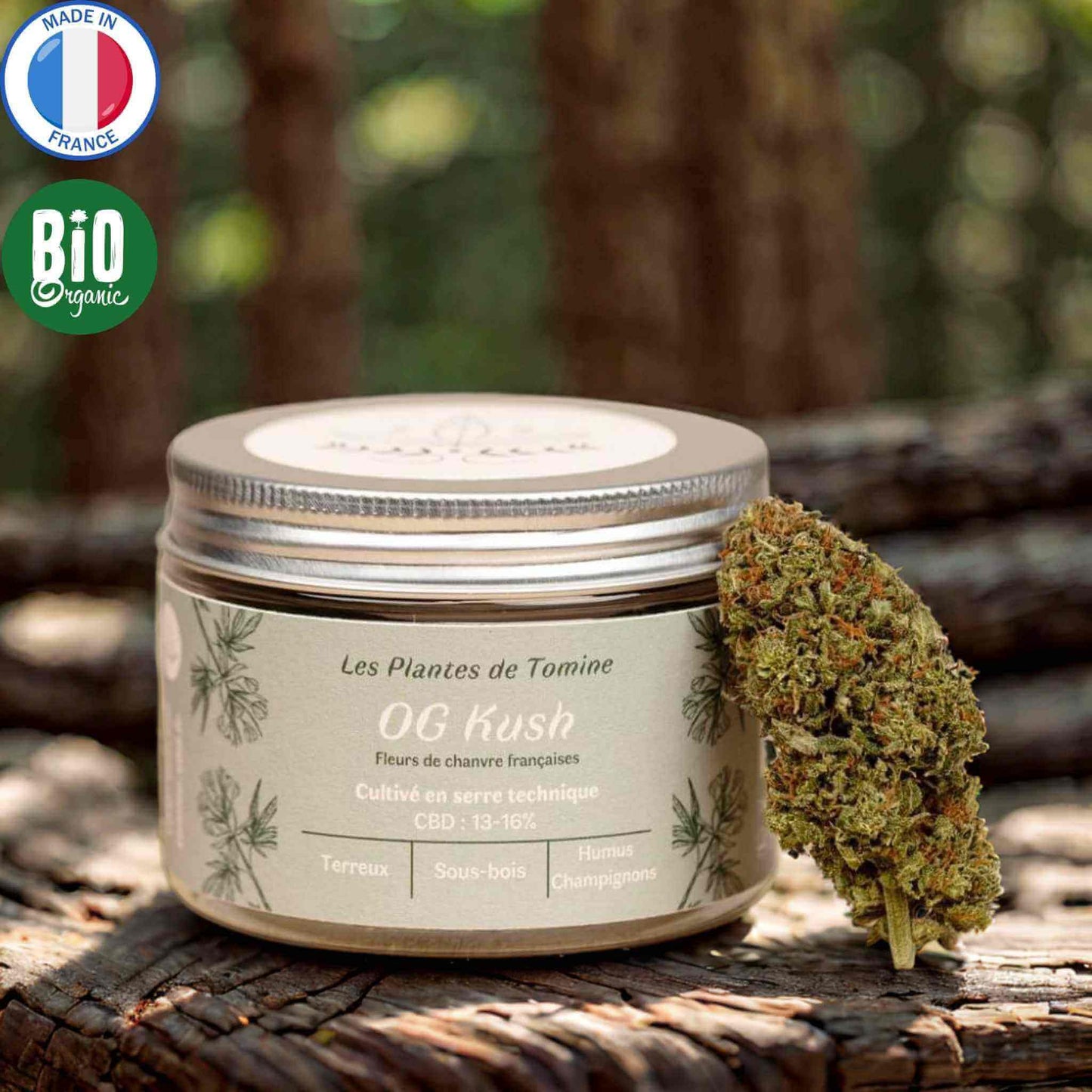 Fleurs de CBD Bio indoor Og Kush certifiés AB