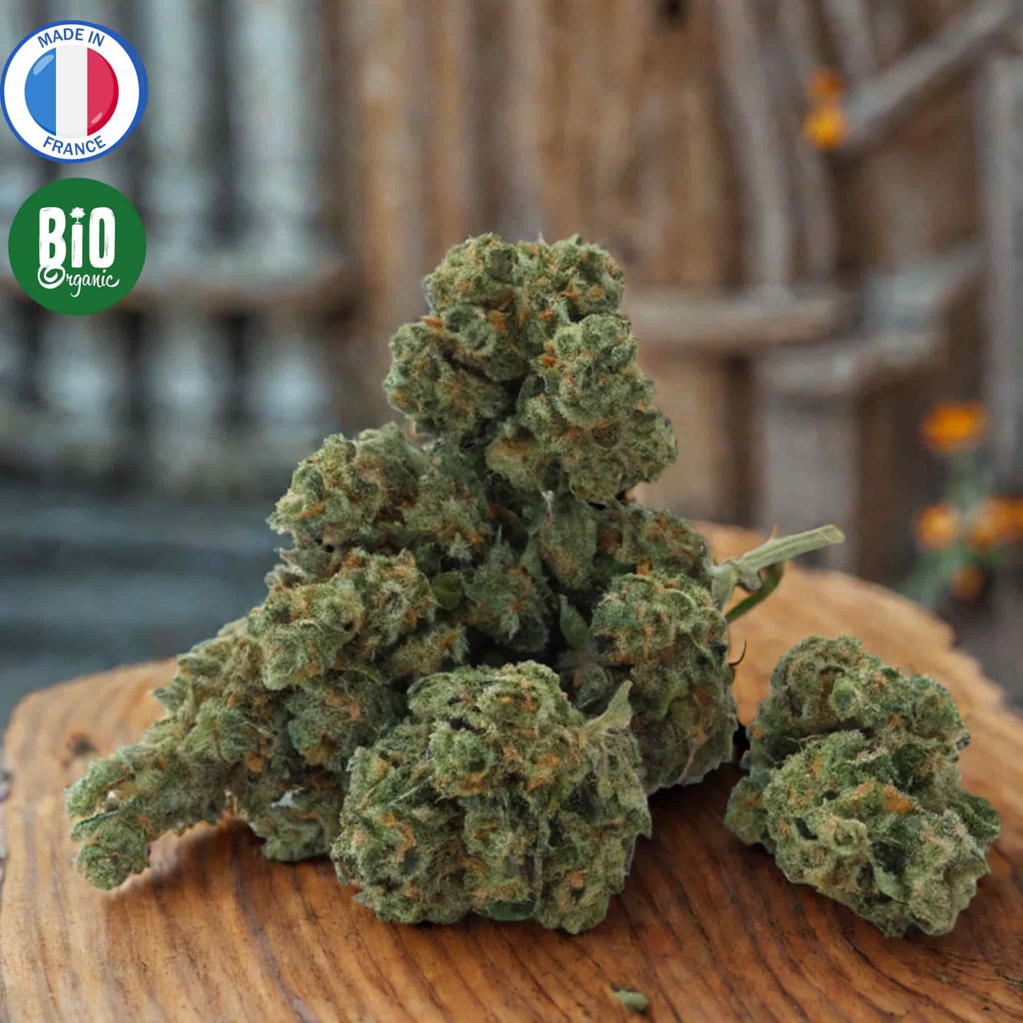 Fleurs de CBD Bio indoor super skunk