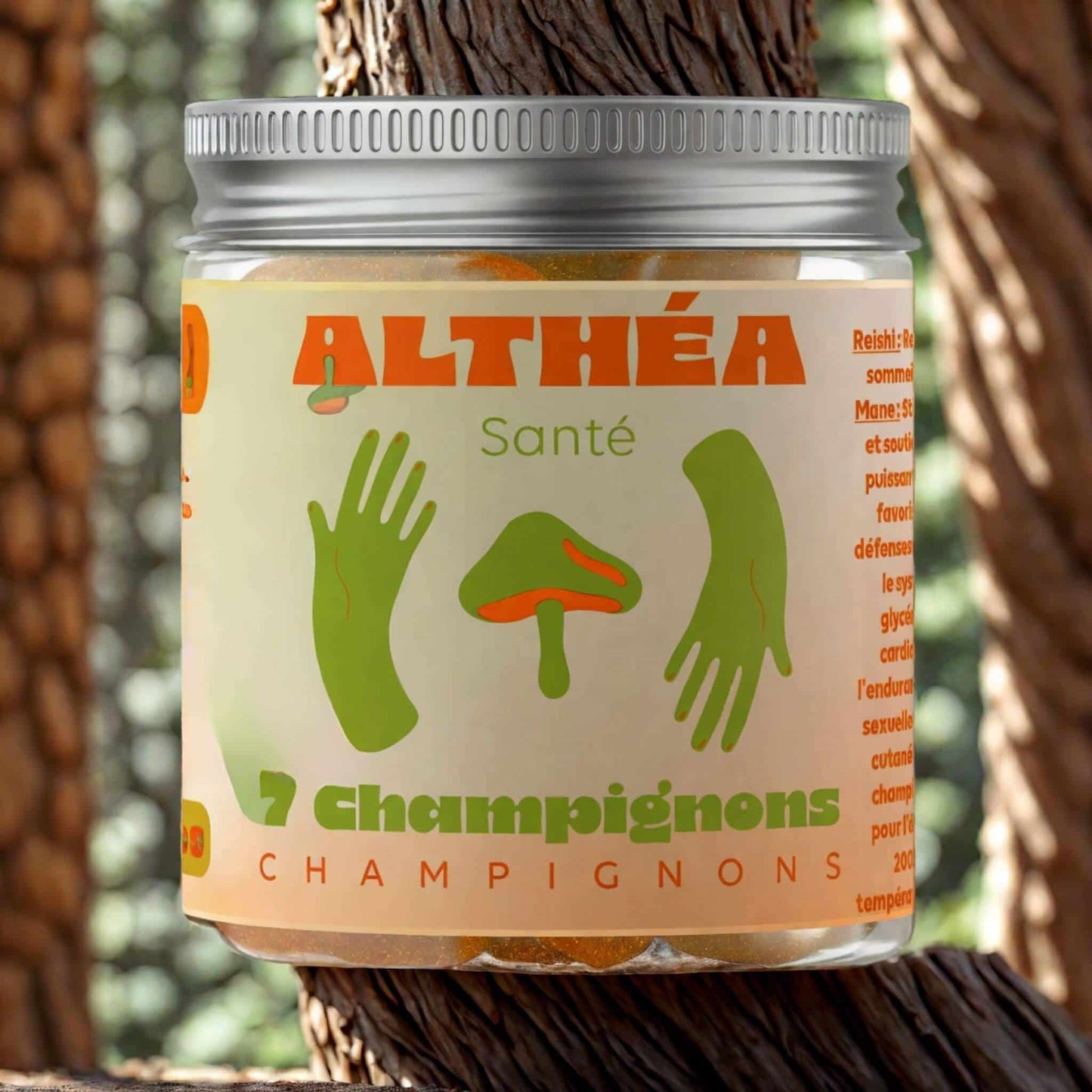 Gummies 7 Champignons
