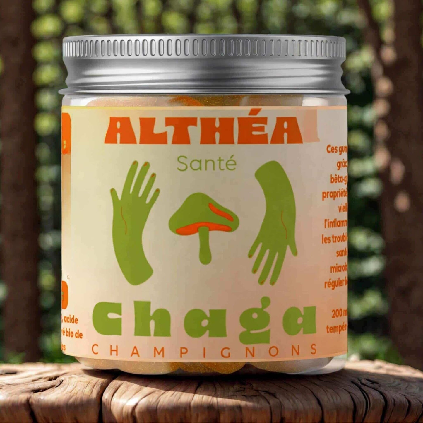 Gummies champignons adaptogènes chaga