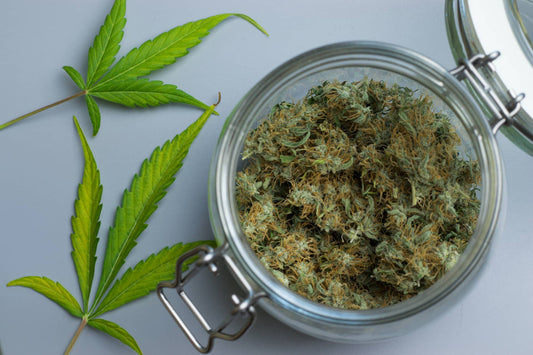 Le CBD est il une drogue?