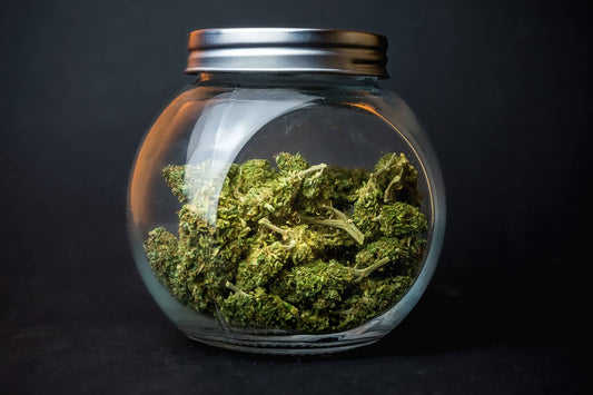 Fleur de CBD C'est quoi? Le CBD c'est quoi? 