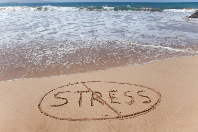 Stress et CBD