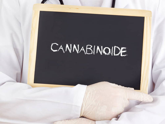 Lexique des cannabinoides