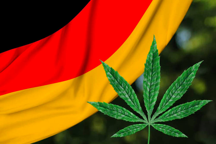 L'Allemagne vers la légalisation du cannabis