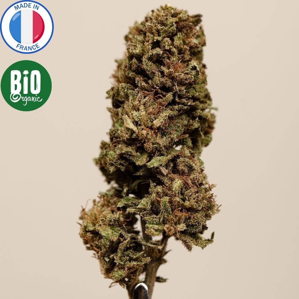 Fleur de CBD Bio Pineapple