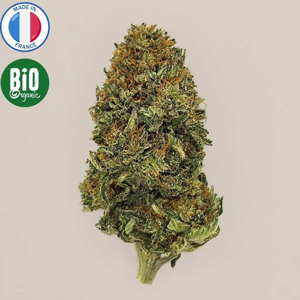 Fleur de CBD Bio française Super Lemon Kush