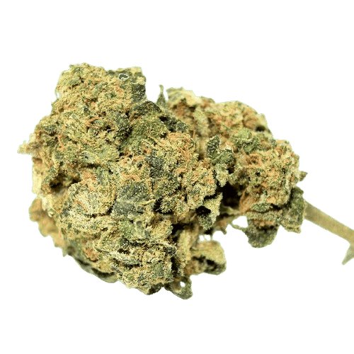 Fleur de CBD Bio Gorilla fleurs de CBD pas cher, fleur de chanvre, le comptoir du CBD Bio.