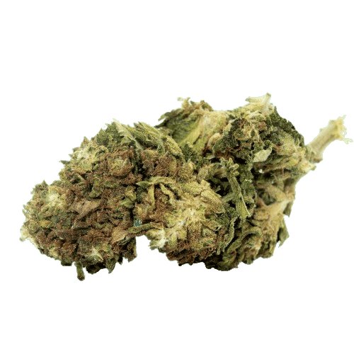 Fleur de CBD bio Mango kush, fleurs de CBD pas cher, Fleur de chanvre, le comptoir du CBD Bio