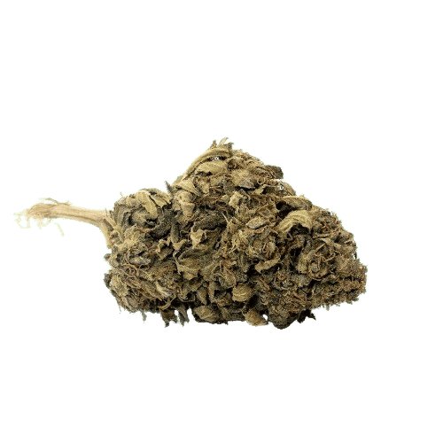 Fleur de CBD bio Orange Bud, fleurs de CBD pas cher le comptoir du CBD Bio.