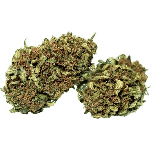 Fleur de CBD Bio Sour Window, fleurs de CBD pas cher le comptoir du CBD Bio.