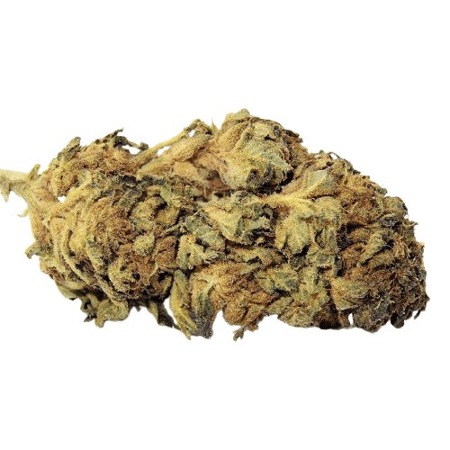 Fleur de CBD Bio Stawberry Diesel, fleurs de CBD pas cher le comptoir du CBD Bio.