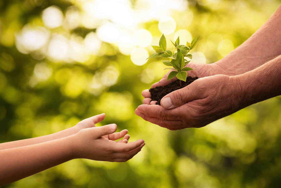 transmettre l'écologie à nos enfants