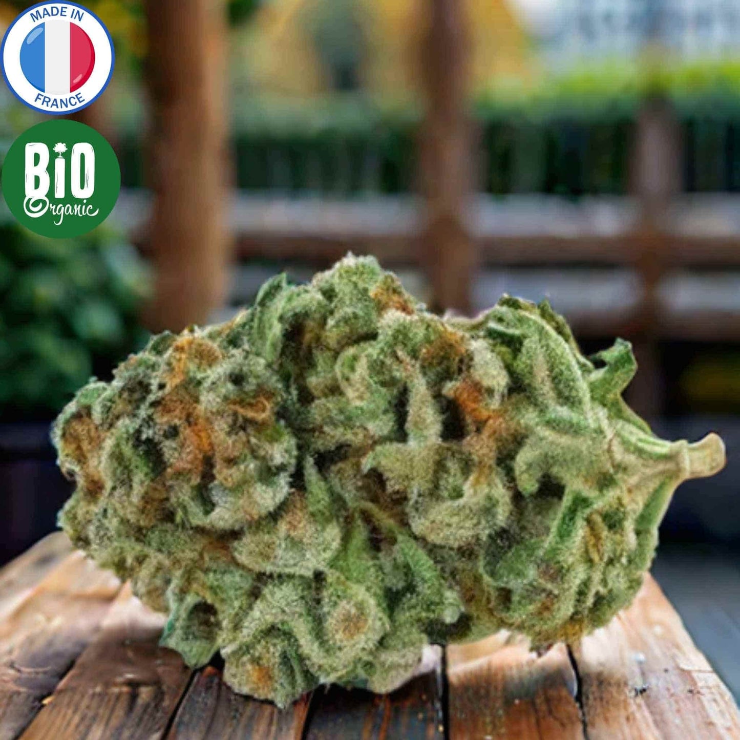 Fleur CBD Bio Amnesia indoor française