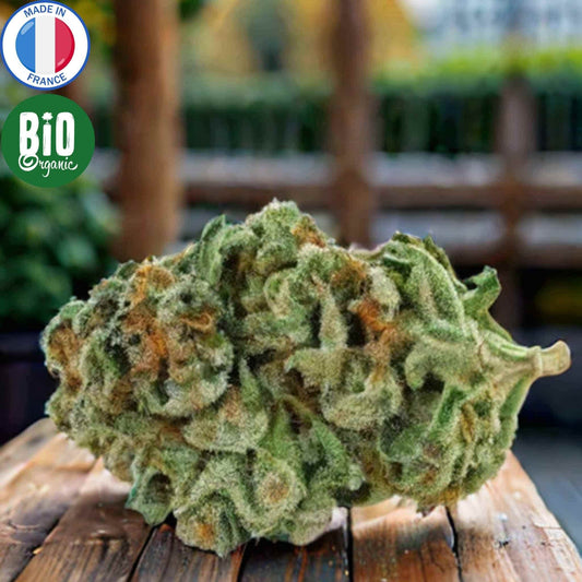 Fleur CBD Bio Amnesia indoor française