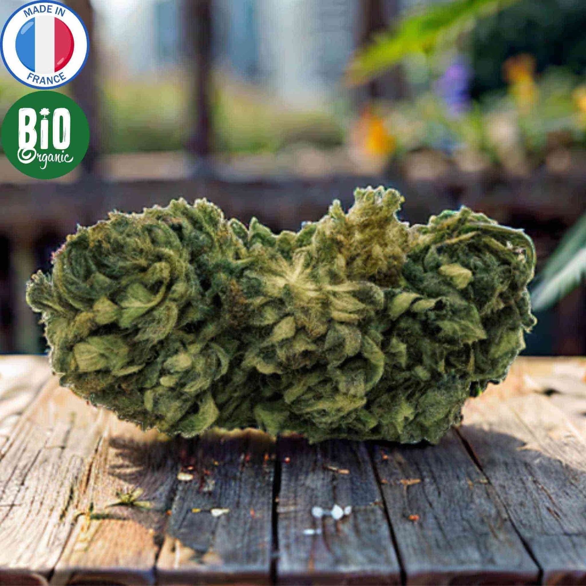 fleur cbd bio amnesia produite en France