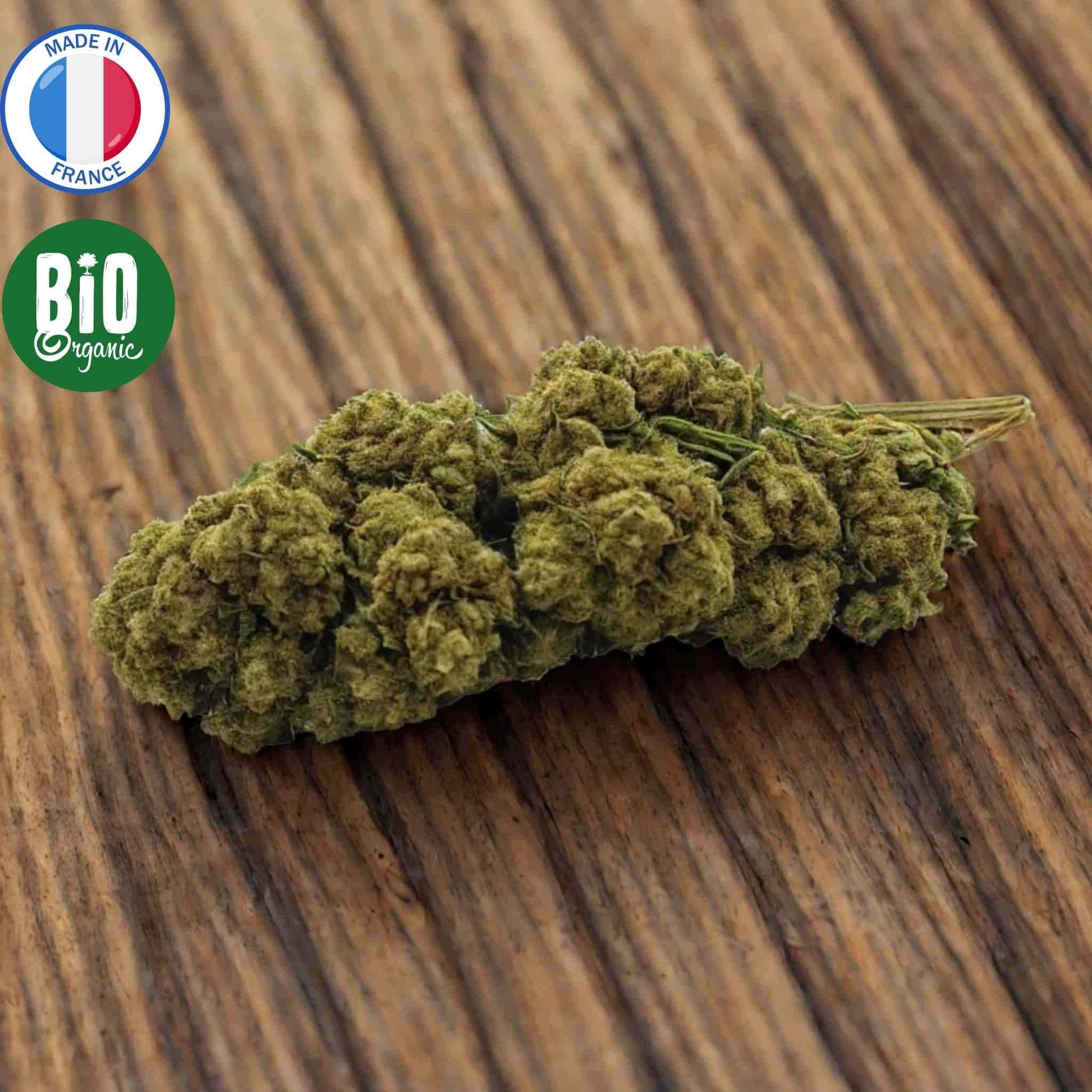 Fleur de CBD Bio indoor française Harlequin