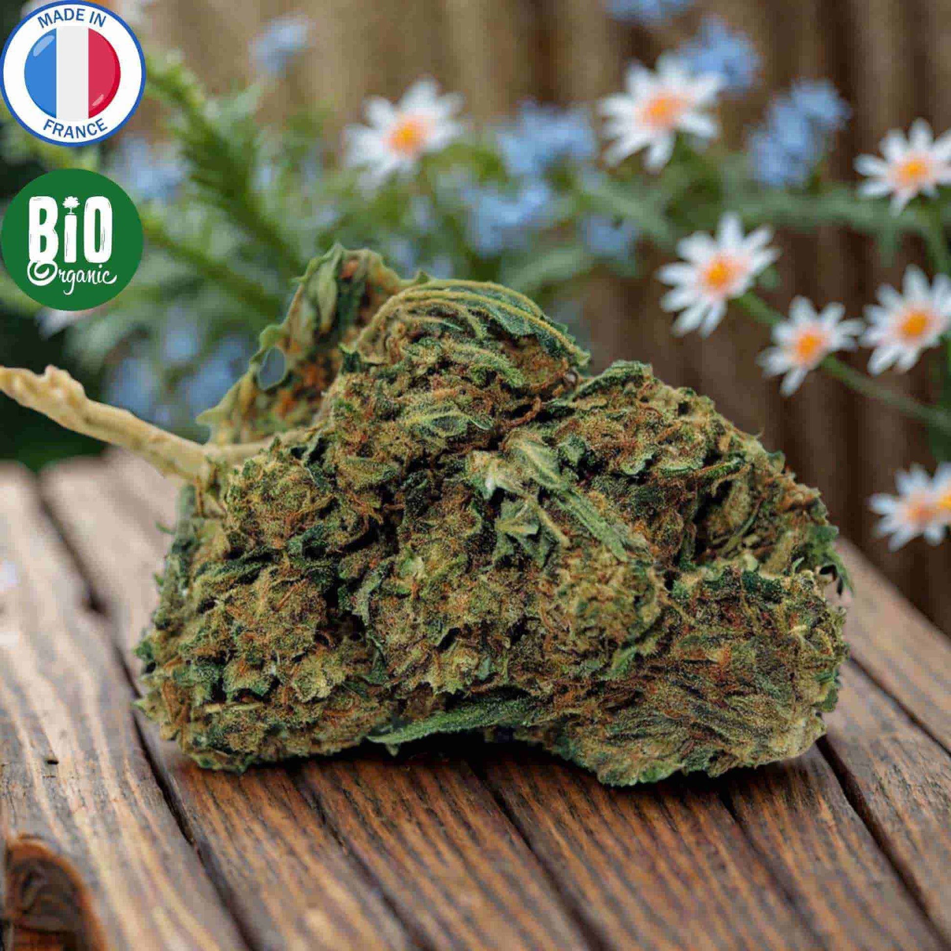 fleur cbd bio caramel candy produite en France