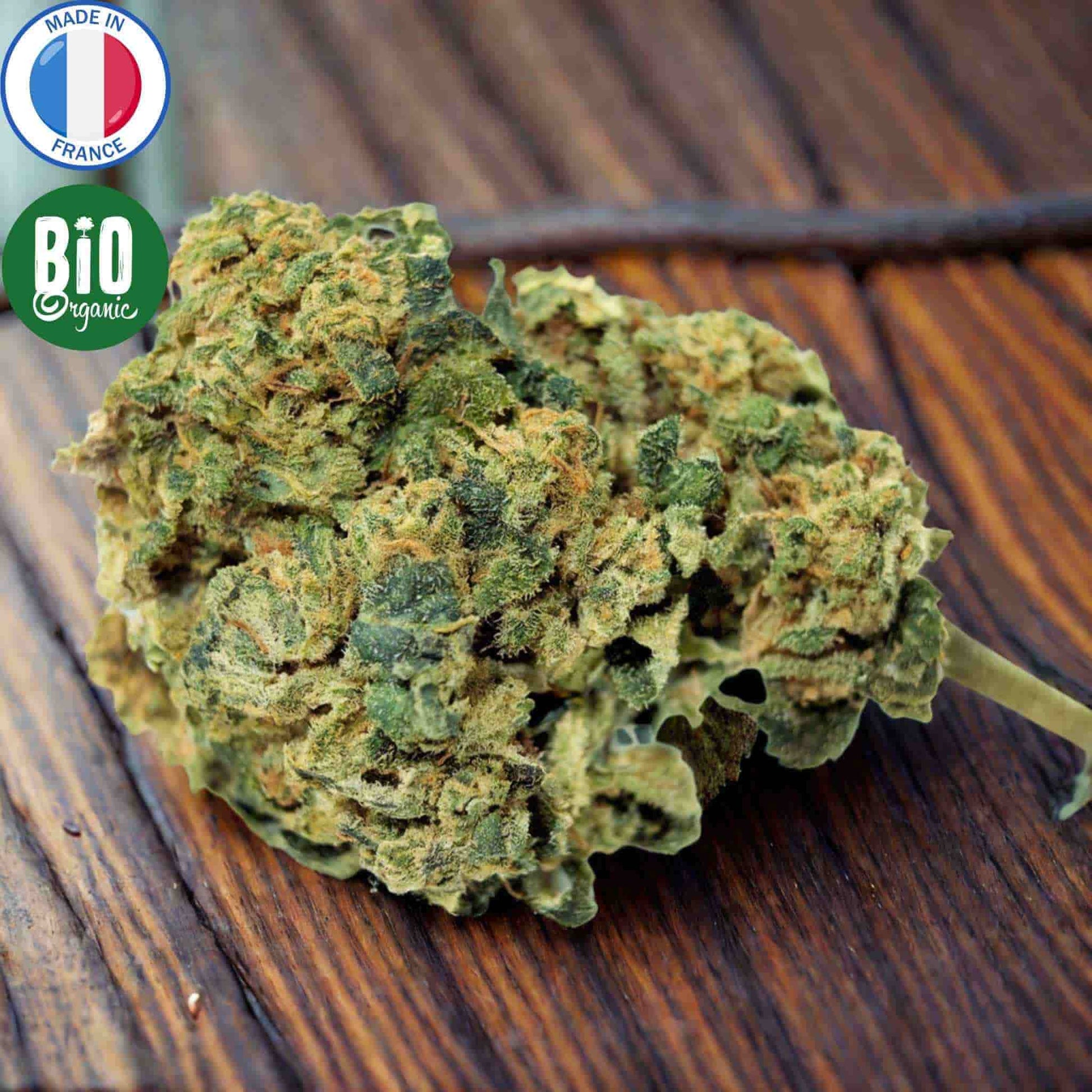 fleur cbd bio gorilla blue produite en France
