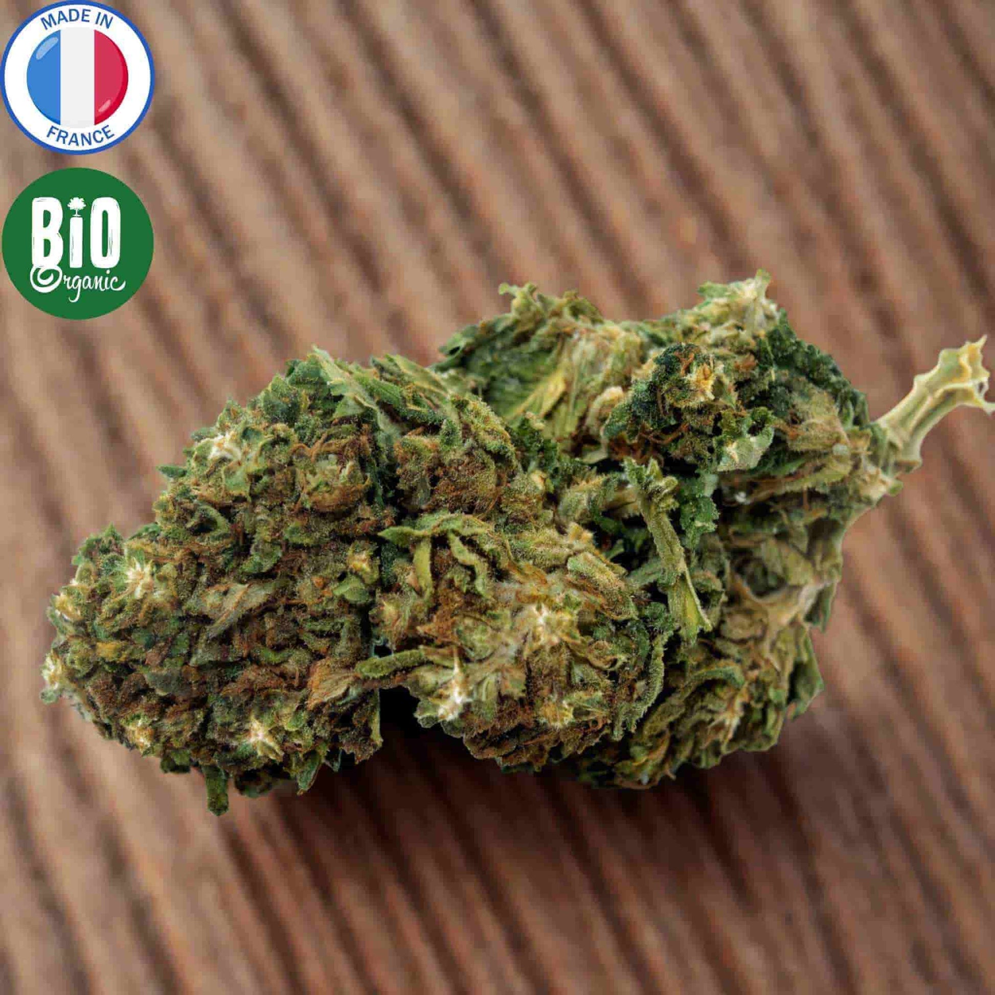 fleur cbd bio mango produite en France