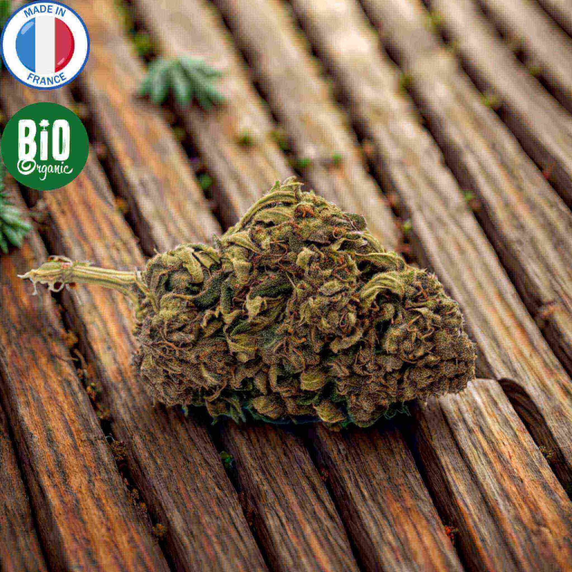 fleur cbd bio orange bud produite en France