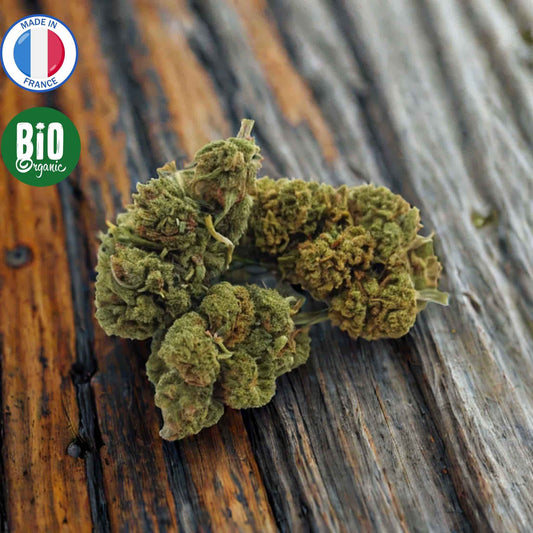 Fleurs de CBD Bio Super Lemon Haze française outdoor.