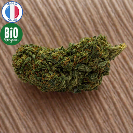 Fleurs de CBD Bio Jack Herer greenhouse française.